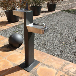 Fontaine de ville 2 robinets avec accès PMR - Tree