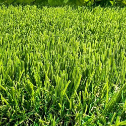 Gazon synthétique Newtech - Fibre 45 mm en V-Shape