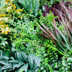 Mur végétal artificiel - Feuillage Réaliste