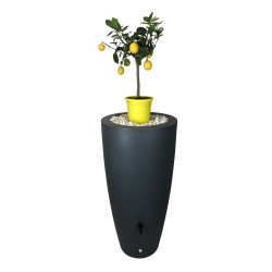 Récupérateur d'eau de pluie conique R&amp;C