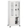 Armoire médicale vitrée avec placard sur la partie basse