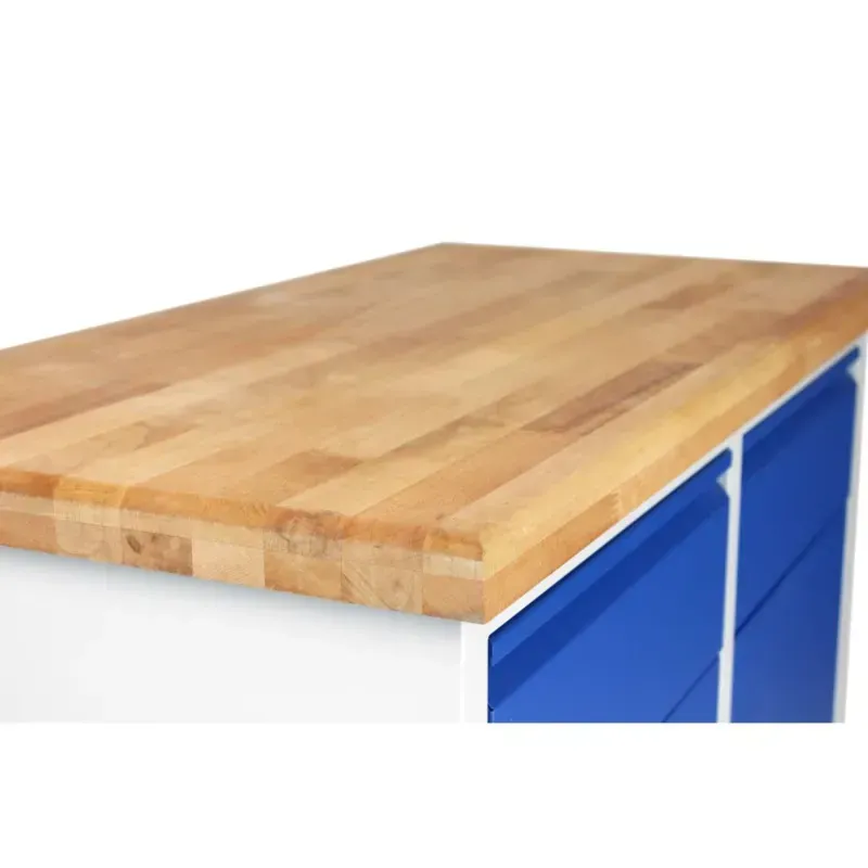 Etabli d'atelier professionnel mobile - S-PRO