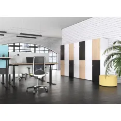 Armoire de bureau avec casiers pour vêtements et effets personnels