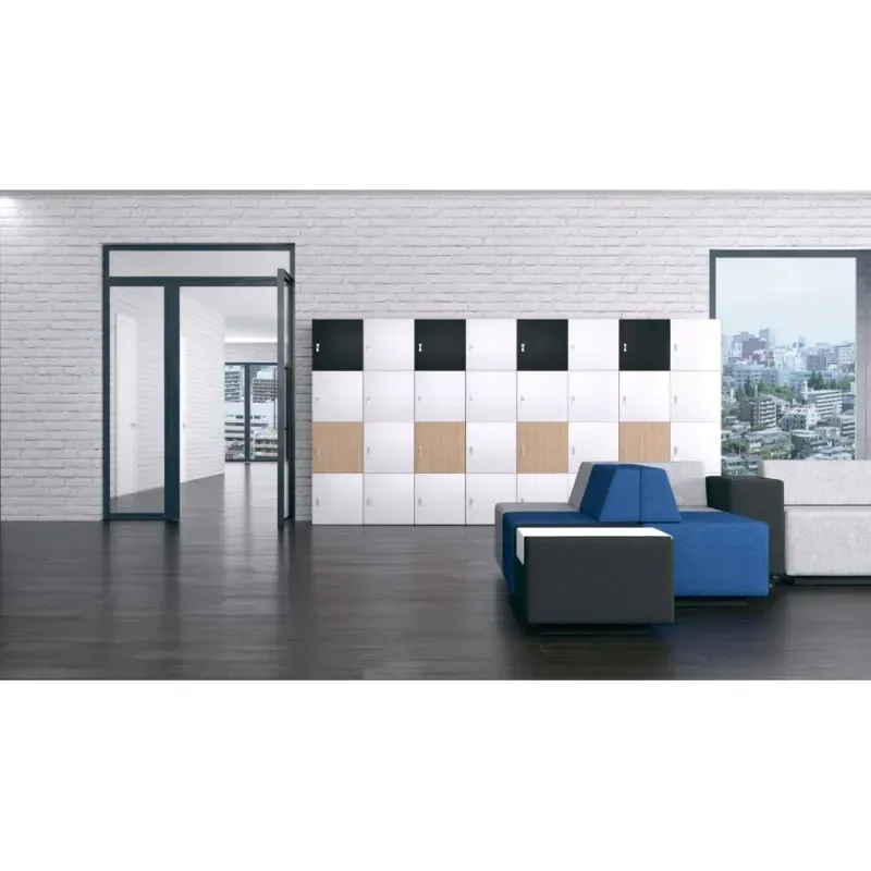 Armoire de bureau avec casiers pour vêtements et effets personnels