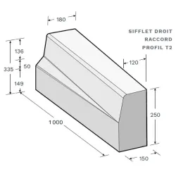 Glissière quai de bus pour accès PMR