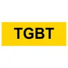Panneau TGBT