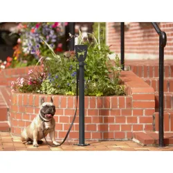 Potelet accroche laisse de chien