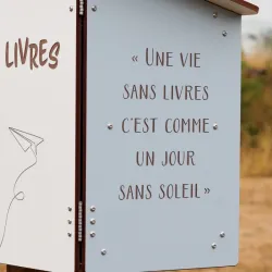 Boîte à bouquins bois sur pied ou murale