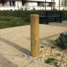 Borne anti stationnement bois Esterel