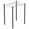 Module Monkey bar pour Street Workout