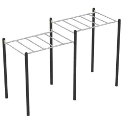 Module Monkey bar pour Street Workout