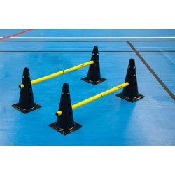 lot de 4 mini haies cones