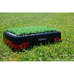 Stepper avec gazon synthétique