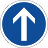 Panneau direction obligatoire tout droit à la prochaine intersection - B21b