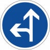 Panneau directions obligatoires à la prochaine intersection tout droit ou à gauche - B21d2