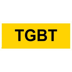 Panneau TGBT