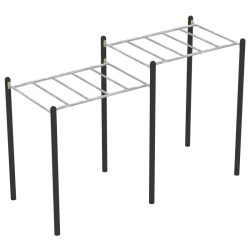 Module Monkey bar pour Street Workout