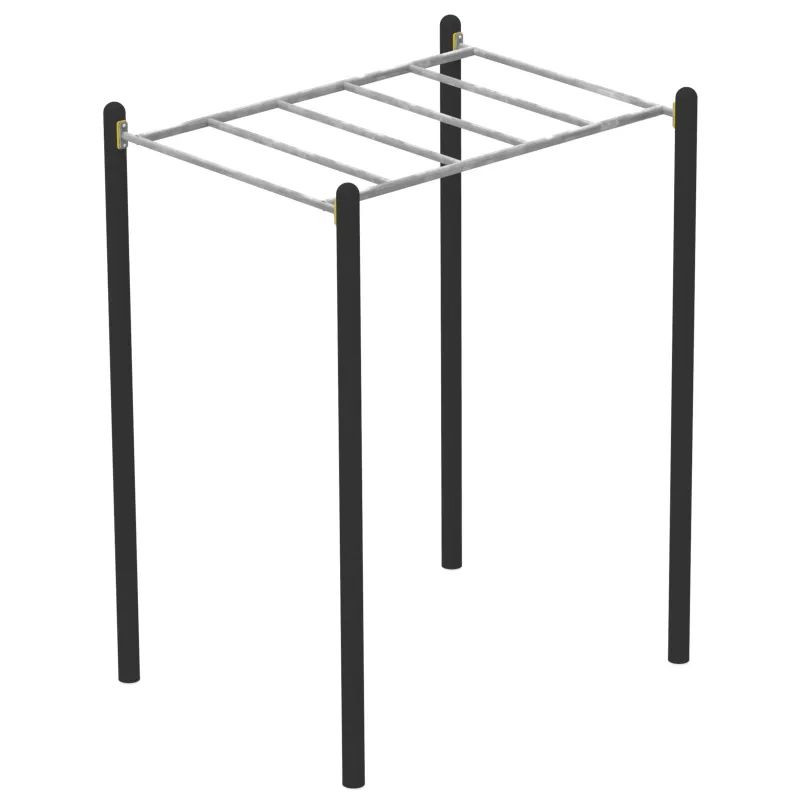 Module Monkey bar pour Street Workout