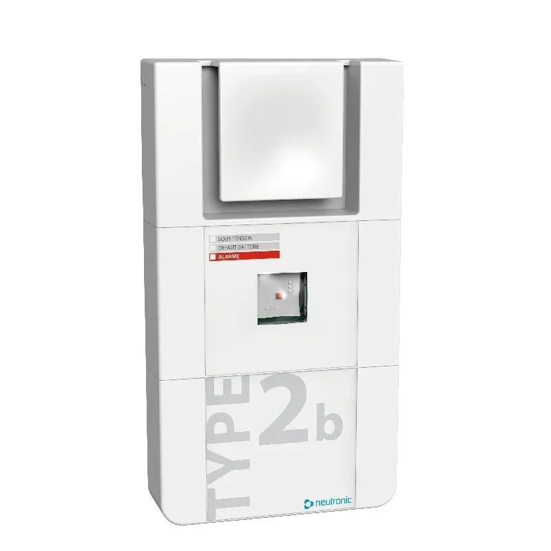 Alarme incendie BAAS de type Sa avec Flash - TT2b-SaL