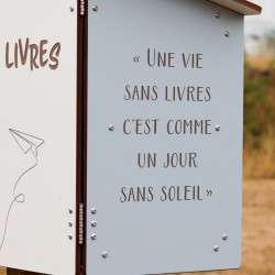 Boîte à bouquins bois sur pied ou murale