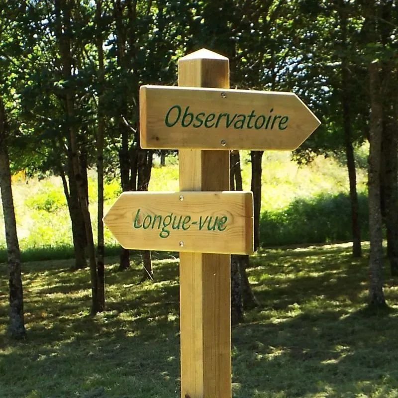 Panneau avec flèche de direction gravée sur bois