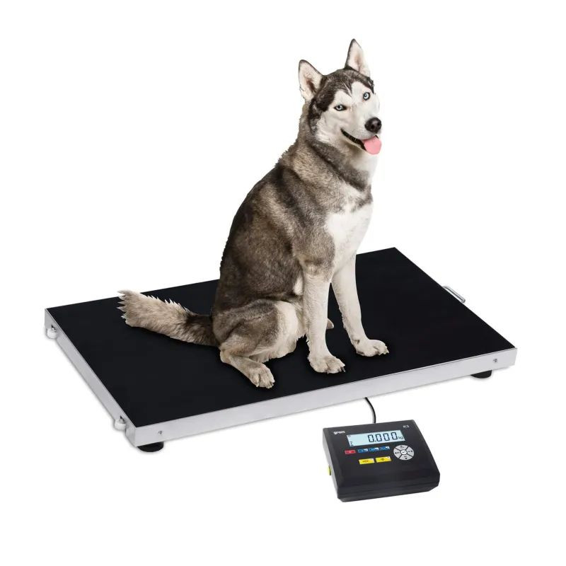 Plateforme Pluto de pesage pour vétérinaires
