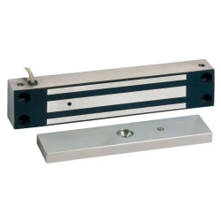 Ventouse électromagnétique applique inox 370 daN 12-24V DC