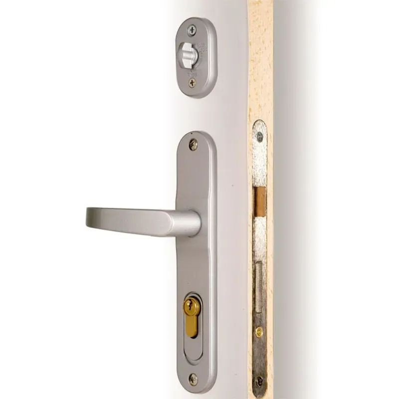 Poignée Lokod Keylex Profil - Système de libre passage