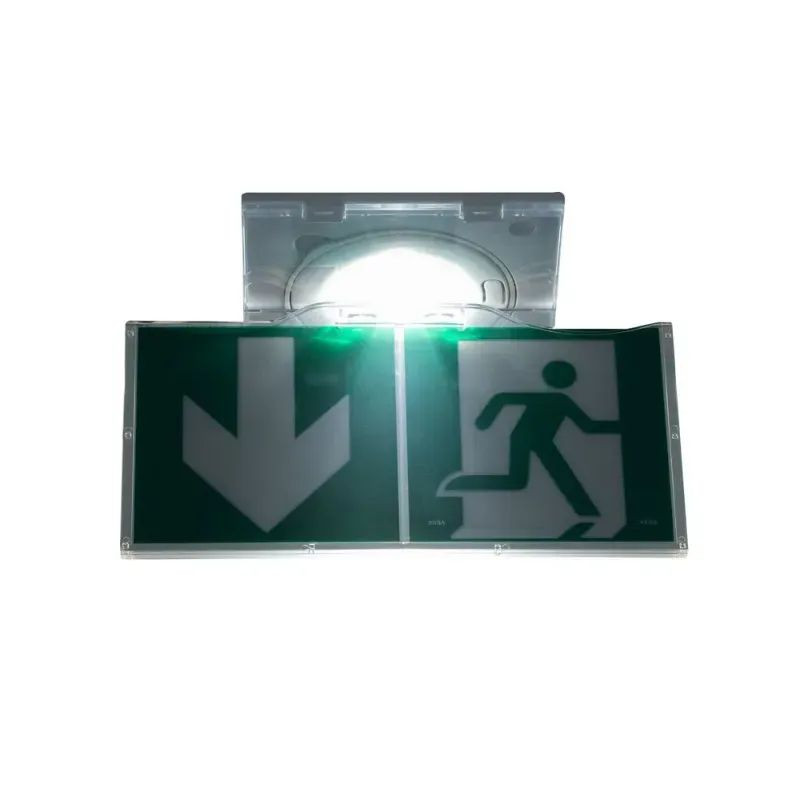 BAES évacuation Tempo2 - Autotestable SATI - A encastrer