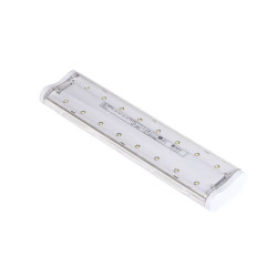 BAES anti panique 1000 lumens - AEES CHLORIDE Luna 1000+ IP ST