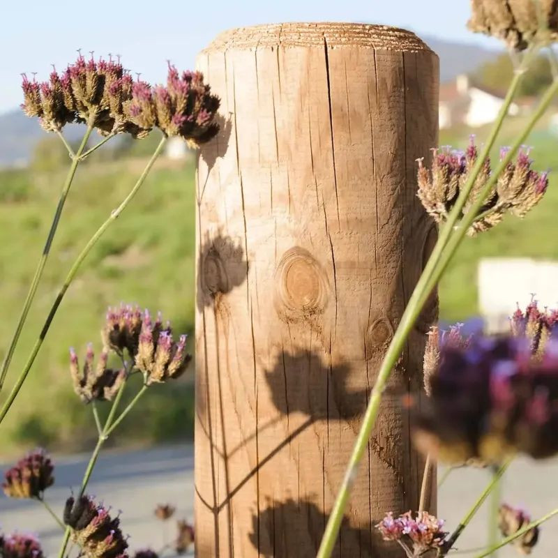 Poteau rond D.8 à 14 cm en bois Pin pour clôture
