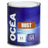 Convertisseur de rouille en phase aqueuse Blanc Lurie Ocea Rust