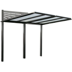 Abri vélo sur deux pieds avec structure en acier et plastique