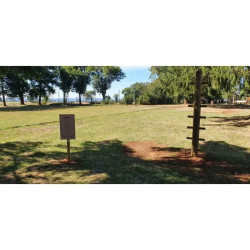 Arbre à grimper pour parcours sportif