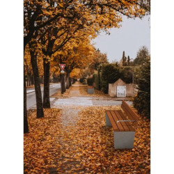 Banc de ville en béton et bois - Areca