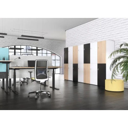 Armoire de bureau avec casiers pour vêtements et effets personnels