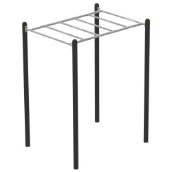Module Monkey bar pour Street Workout