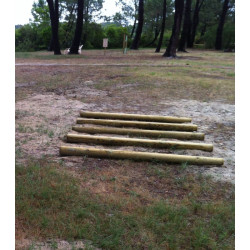 Saut de puce pour parcours de santé - Loisirs Aménagements