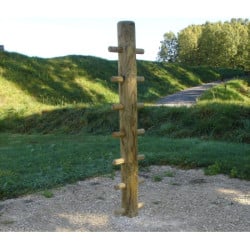 Arbre à grimper pour parcours de santé - Loisirs Aménagements