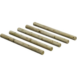 Saut de puce pour parcours sportif