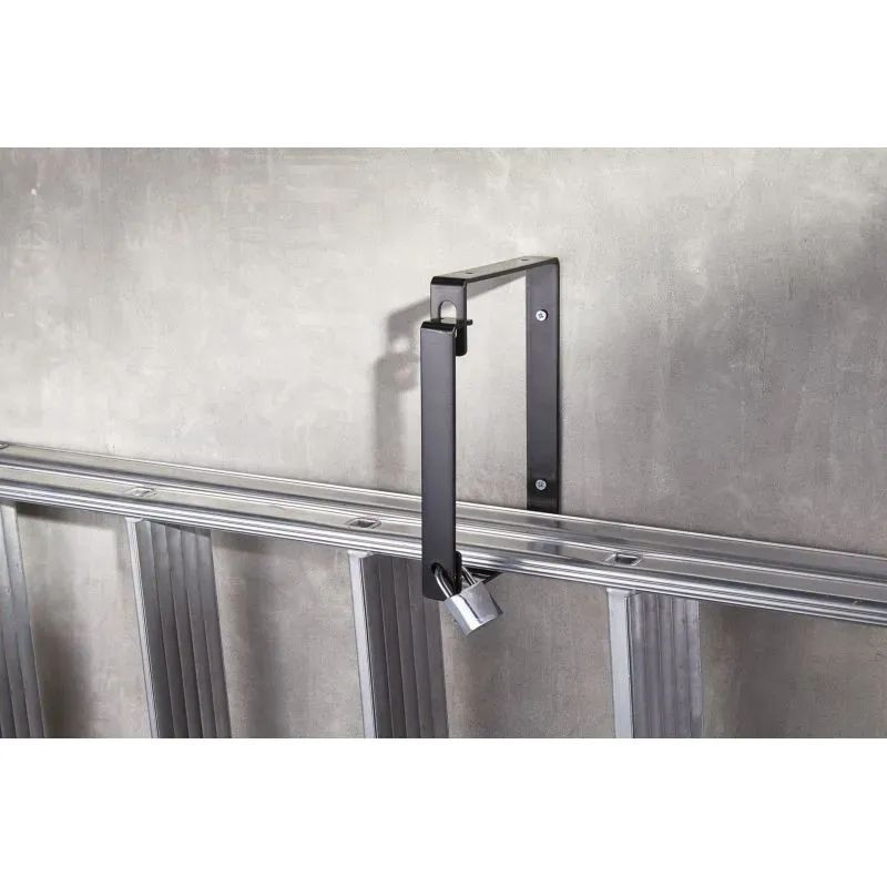 Lot de 2 antivols Mottez muraux pour échelles