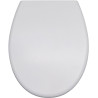 Abattant wc thermodur déclipsable antibactérien - Majestic