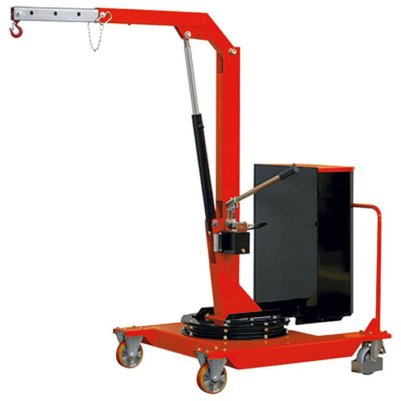 Grue d’atelier porte-à-faux rotative manuelle 500 kg