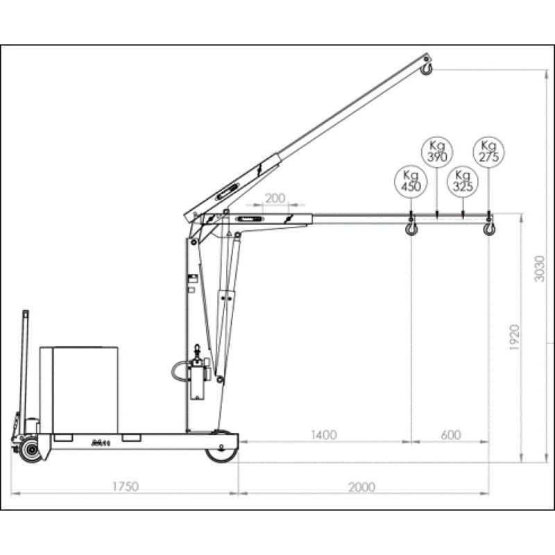 Grue d'atelier porte à faux avec traction manuelle ou électrique 1000