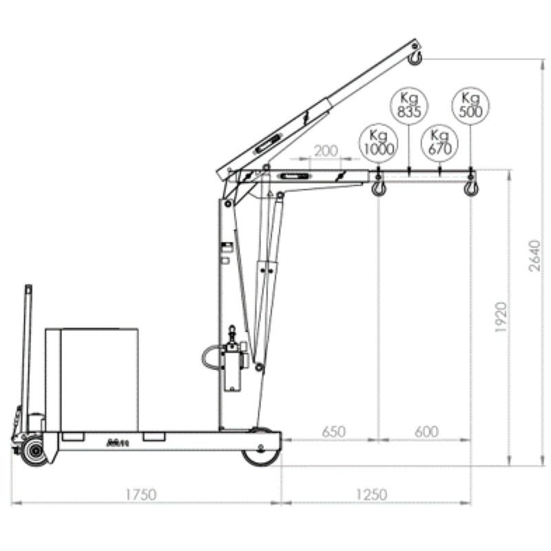 Grue d'atelier porte à faux avec traction manuelle ou électrique 1000