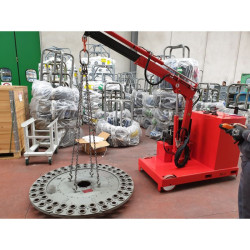 Grue porte-à-faux avec extension jusqu'à 3 m motorisée- 1000kg