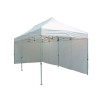 Abri barnum avec structure + toit