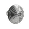 Pack 250 clous podotactiles inox SHS 10 316L à sceller