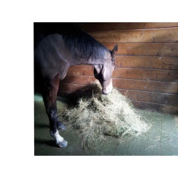 Hexdalle XE DJP - Sol pour box à chevaux en caoutchouc