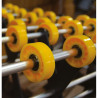 Convoyeur galets en plastique 70 kg par ml